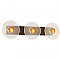 Favourite 4317-3W