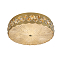 Newport 8300/480 PL gold